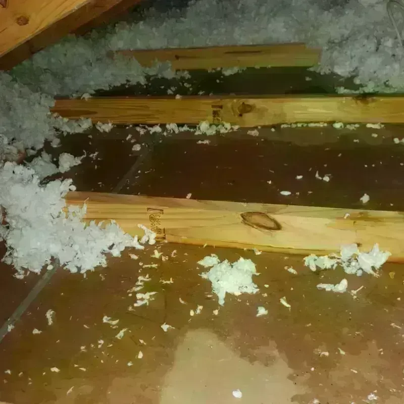 Attic Water Damage in Skaneateles, NY